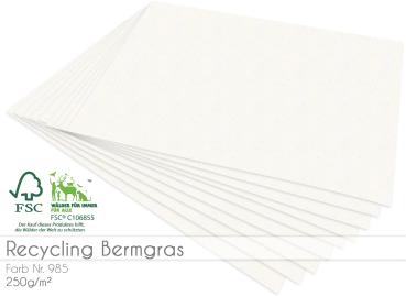 Scrapbooking-/ Bastelpapier 250g/m² DIN A3 in recycling bermgras
