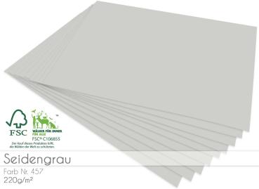 Cardstock "Premium" - Bastelpapier 220g/m² DIN A4 in seidengrau