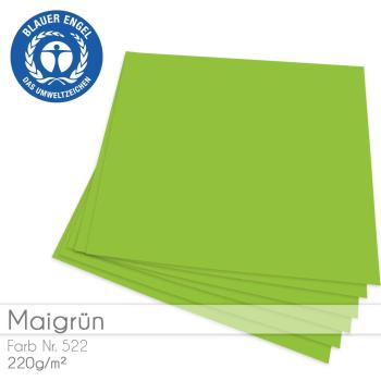 Cardstock "Basic" 12"x12" 220g/m² (30,5 x 30,5cm) in maigrün