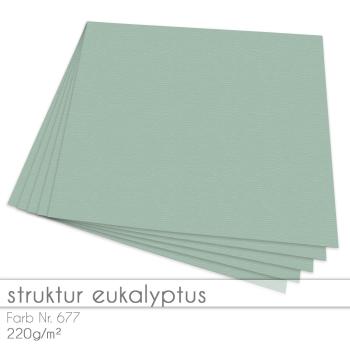 Cardstock "Struktur" 12"x12"  220g/m² (30,5 x 30,5cm) in struktur eukalyptus