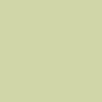 Tonkarton - Tonpapier DIN A4 120g/m² - 25 Bogen in natur salbei
