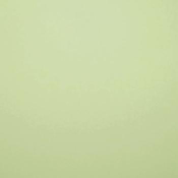 Tonkarton - Tonpapier DIN A4 120g/m² - 25 Bogen in natur zartgrün
