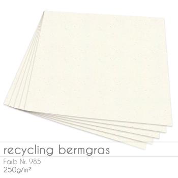 Cardstock "Recycling" 12"x12" 250g/m² (30,5 x 30,5cm) in recycling bermgras