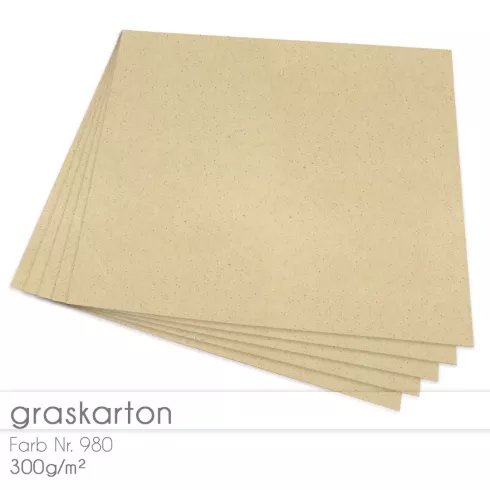 Cardstock "Recycling" 12"x12"  300g/m² (30,5 x 30,5cm) in Graskarton