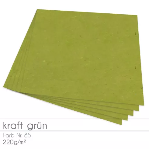 Cardstock "Recycling" 12"x12"  220g/m² (30,5 x 30,5cm) in kraft grün