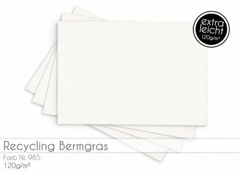Tonkarton - Tonpapier DIN A4 120g/m² - 25 Bogen in recycling bermgras