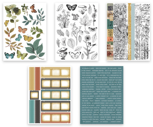 Preview: Arden Creative Studio - Sticker Book "Amber Ledgers" by Katie Pertiet