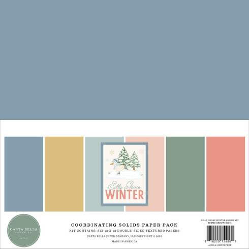 Preview: Carta Bella - Cardstock "Silly Goose Winter" Coordinating Solids Paper Pack 12x12 Inch - 6 Bogen