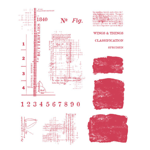 Preview: Sizzix - Stempelset "Wings & Things" Clear Stamps Design by 49 & Market