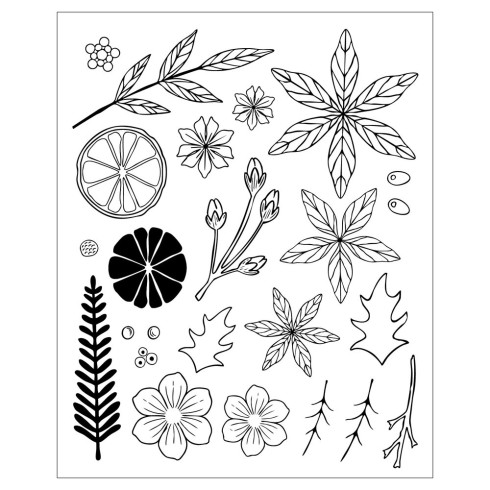 Preview: Sizzix - Stanzschablone & Stempelset "Winter Florals" Thinlits Craft Dies & Clear Stamps by by Vicki Boutin