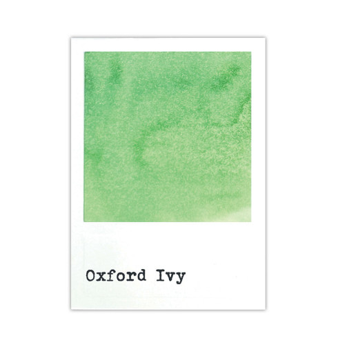 Preview: Ranger - Dye Ink Reinker "Oxford Ivy" Design by 49 and Market - Nachfüller