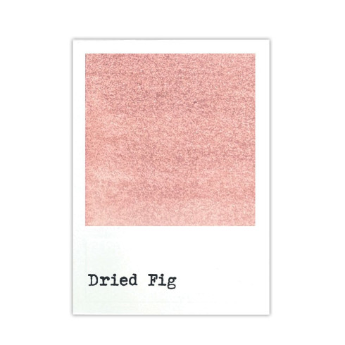Preview: Ranger - Dye Ink Reinker "Dried Fig" Design by 49 and Market - Nachfüller