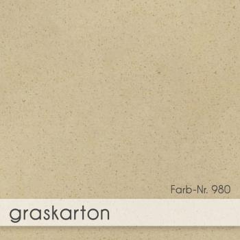 Preview: Tonkarton - Tonpapier DIN A4 100g/m² - 25 Bogen in recycling graspapier