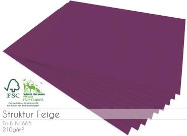 Cardstock "Struktur" - Bastelpapier 210g/m² DIN A4 in struktur feige