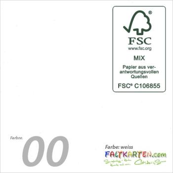 Cardstock 12"x24"  240g/m² (30,5 x 61cm) in weiss