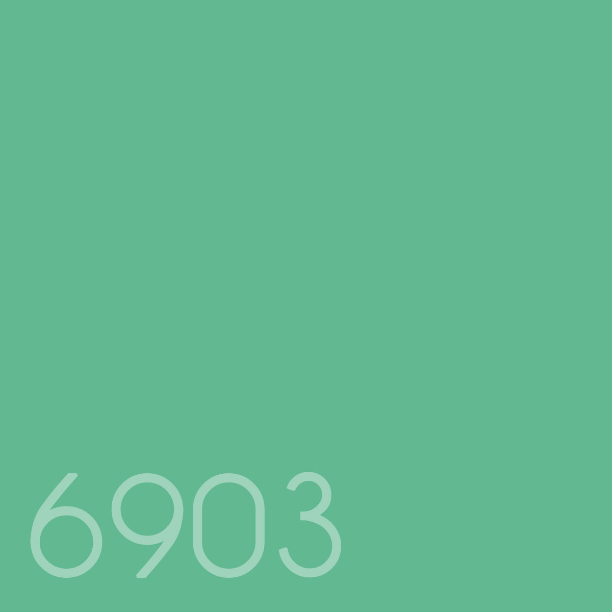 blattminze (300g/m²)