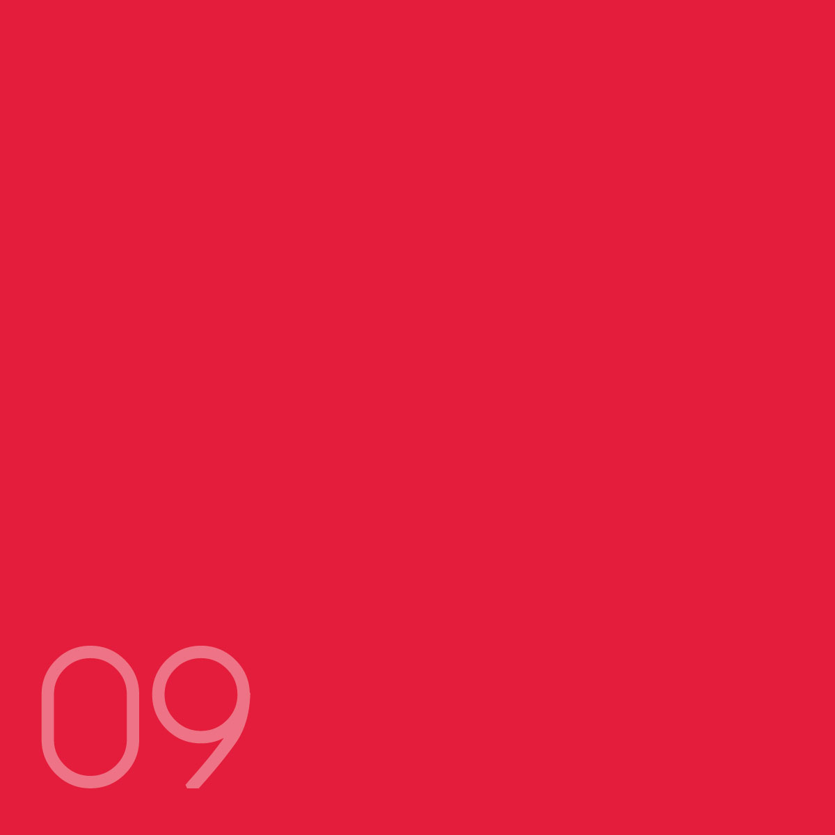 rot (240g/m²)