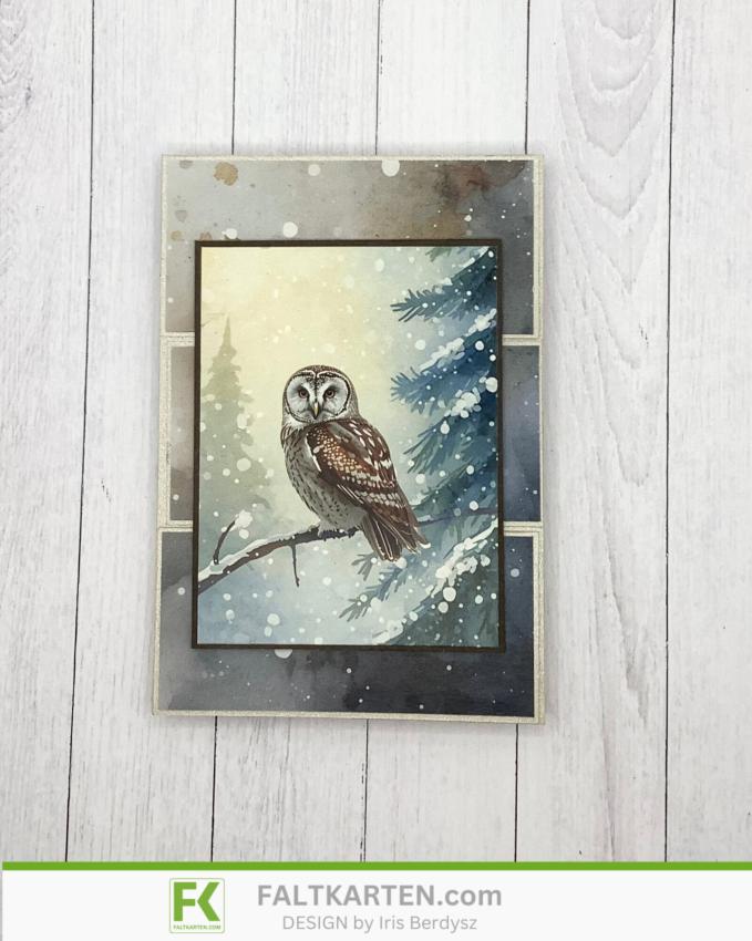 LaCreativ - Designpapier "Zauberhafte Wintereulen" Paper Pack 6x6" - 24 Bogen