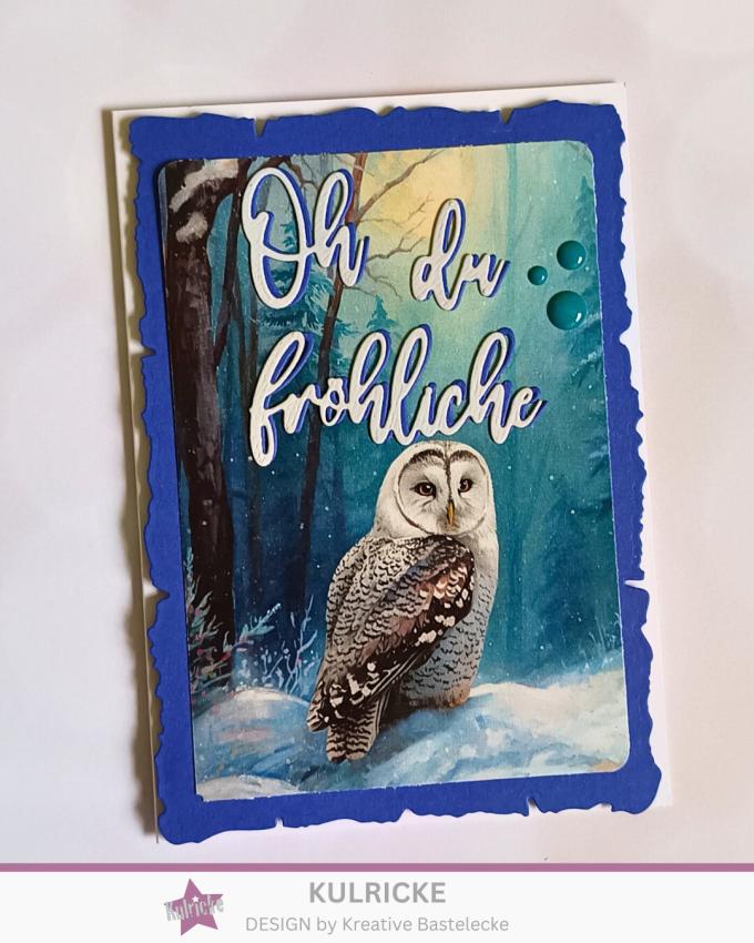 LaCreativ - Designpapier "Zauberhafte Wintereulen" Paper Pack 6x6" - 24 Bogen