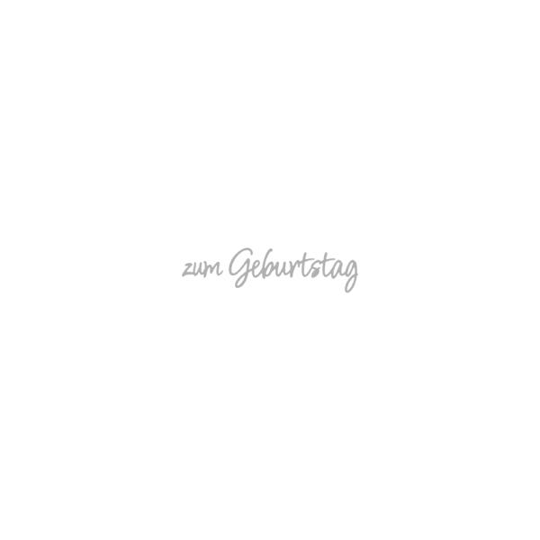 Rayher Stanzschablone (Dies) - Zum Geburtstag