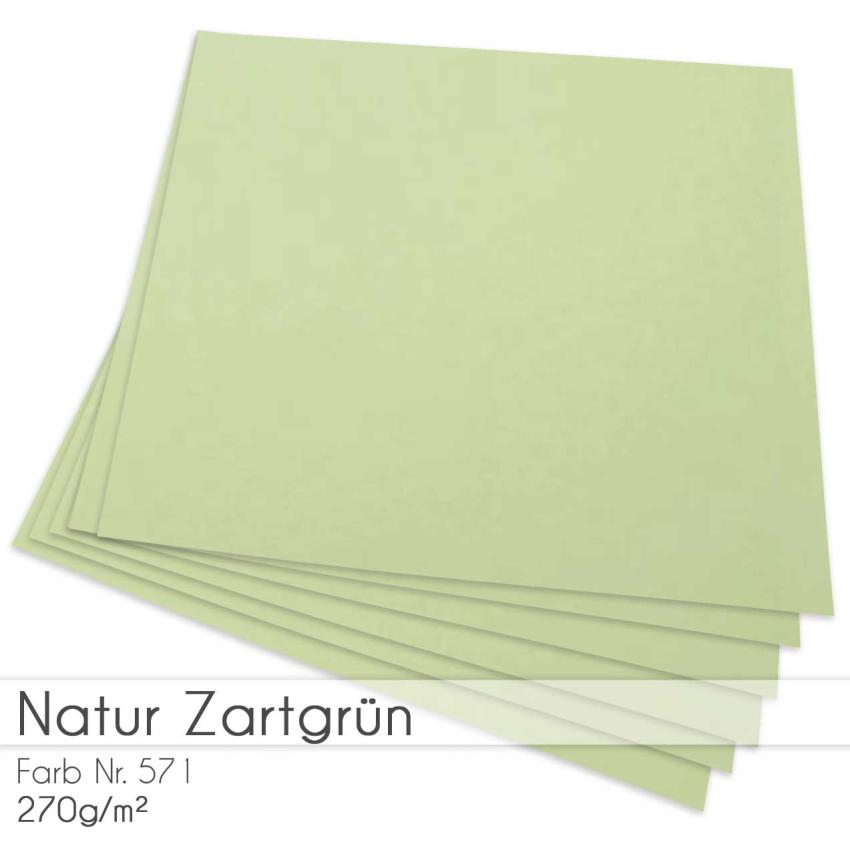 Cardstock "Natur" 12"x12"  270g/m² (30,5 x 30,5cm) in natur zartgrün