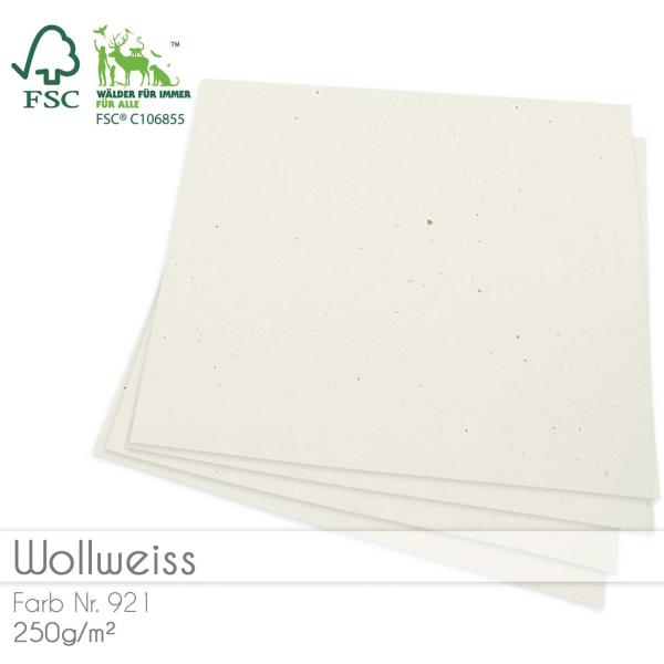 Cardstock "Recycling" 12"x12"  250g/m² (30,5 x 30,5cm) in recycling wollweiss