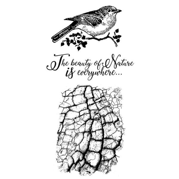 Stamperia Stempel "Cosmos Bird" Natural Rubber Stamp - (Naturkautschukstempel)