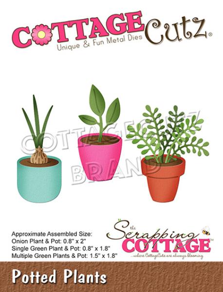 Scrapping Cottage Die - Potted Plants  - Blumentopf