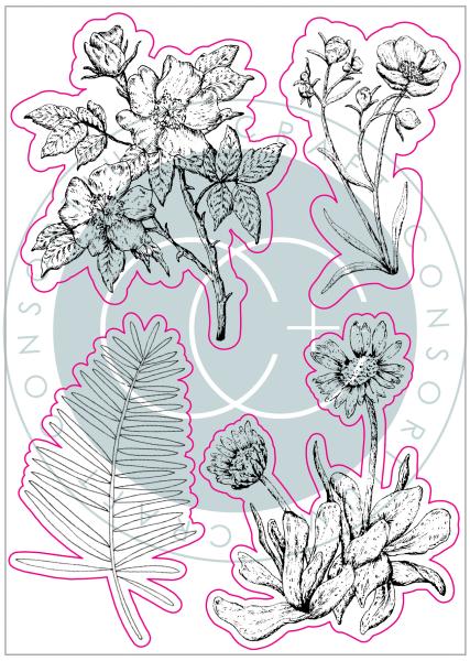Craft Consortium At Home in the Wildflowers Clear Stamps Wildblumen