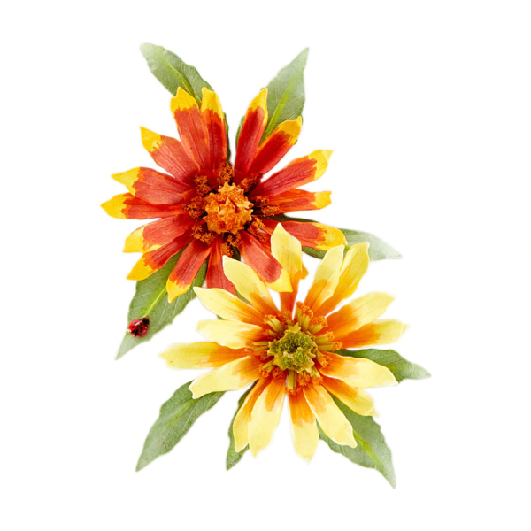 Spellbinders Die "Gaillardia Etched" Stanzschablone