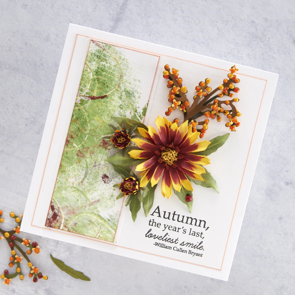 Spellbinders Die "Gaillardia Etched" Stanzschablone