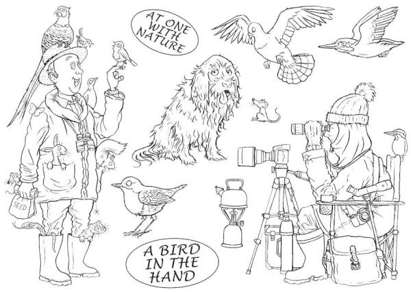 The Card Hut Great Outdoors: A Bird In The Hand  Clear Stamps Stempelset 