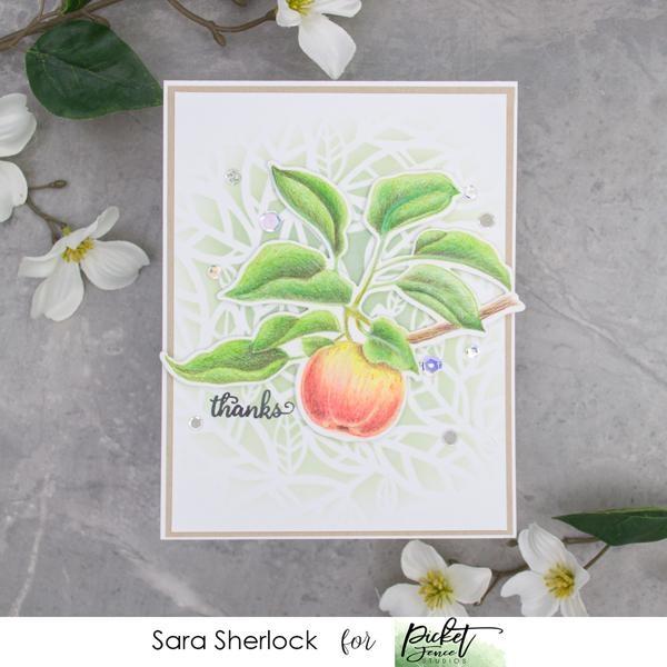 Picket Fence Studios Vintage Apple 4x4 Inch Clear Stamps 