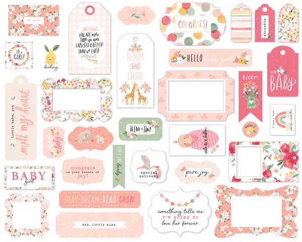 Echo Park "Welcome Baby Girl" Frames & Tags