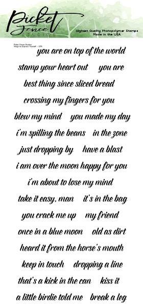 Picket Fence Studios Ways to Express Yourself 4x8 Inch Clear Stamps 