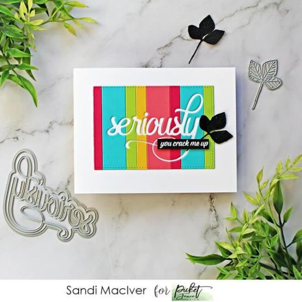 Picket Fence Studios Ways to Express Yourself 4x8 Inch Clear Stamps 