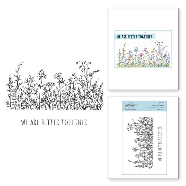 Spellbinders Stempelset "Field of Flowers"