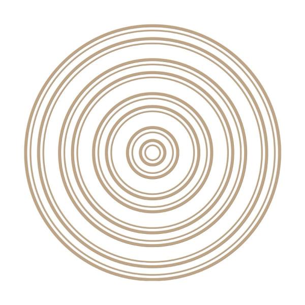 Spellbinders Hotfoil Plate - Essential Duo Lines Circles Glimmer