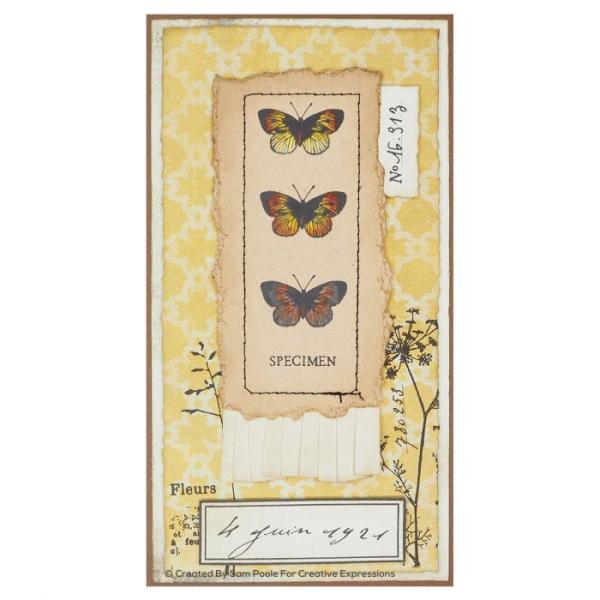 Creative Expressions - Clear stamp set From the past