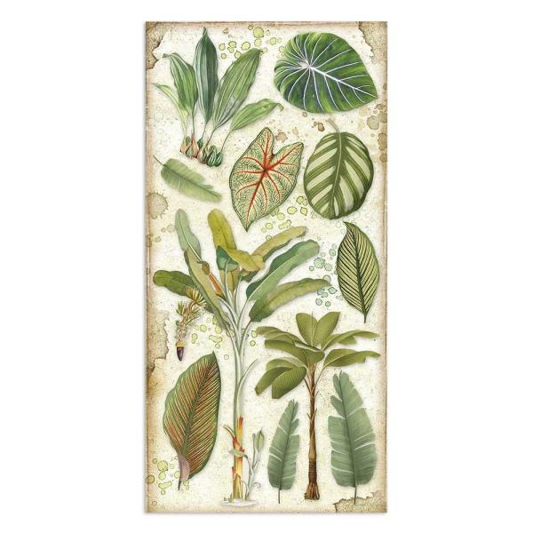 Stamperia "Amazonia" 6x12" Paper Pack - Cardstock