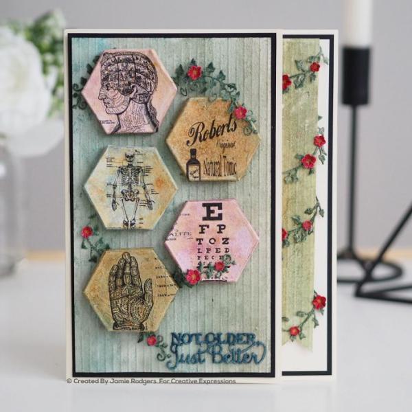 Creative Expressions - Canvas collection Hexagon