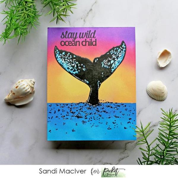 Picket Fence Studios A Whale Breaching 4x4 Inch Clear Stamps 