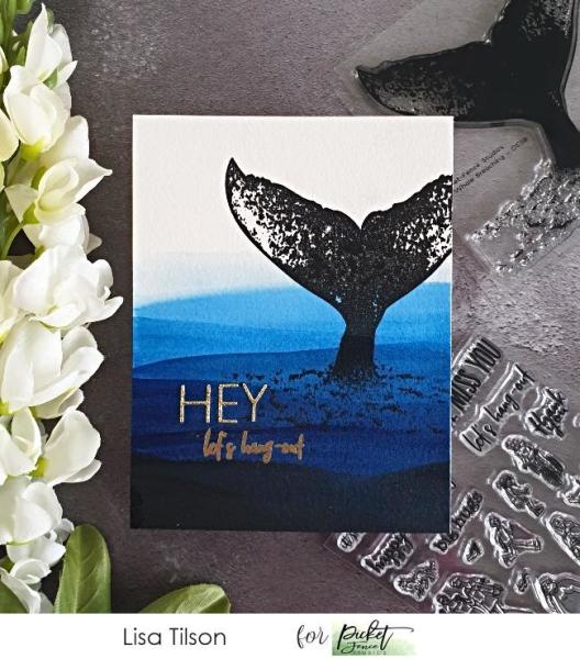 Picket Fence Studios A Whale Breaching 4x4 Inch Clear Stamps 