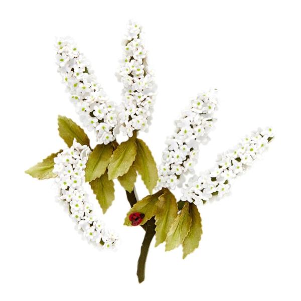 Spellbinders Die "Spirea (Bridal Wreath) Etched" Stanzschablone