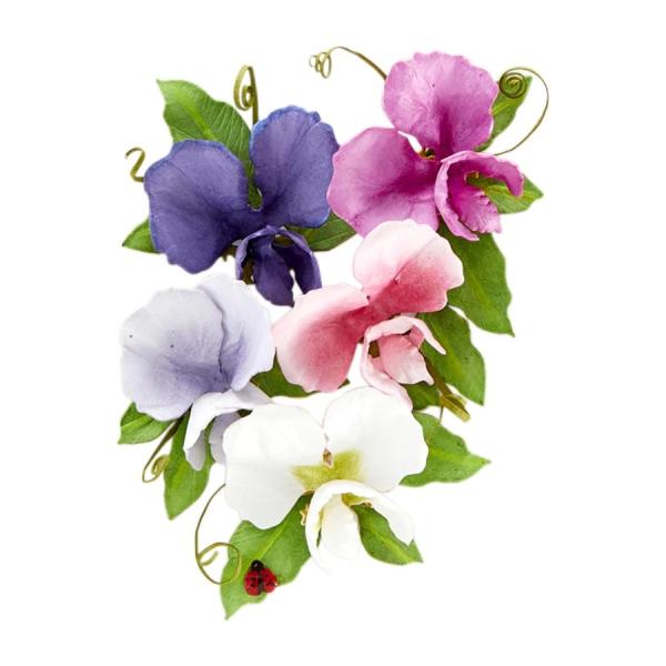 Spellbinders 3D Die "Sweet Pea Etched Dies"