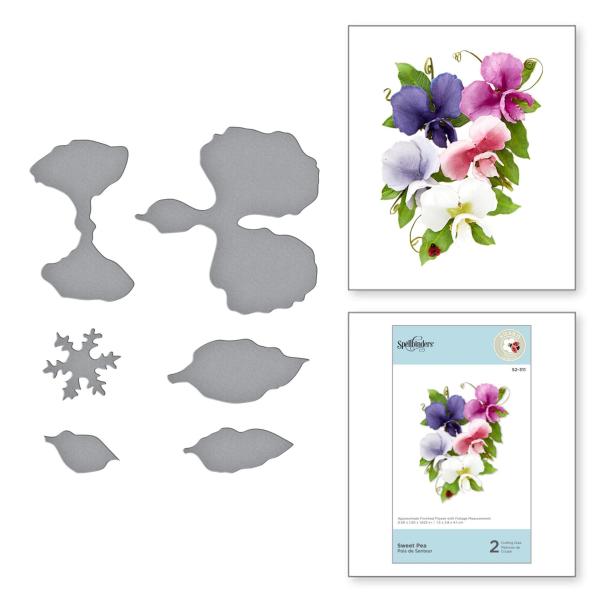 Spellbinders 3D Die "Sweet Pea Etched Dies"
