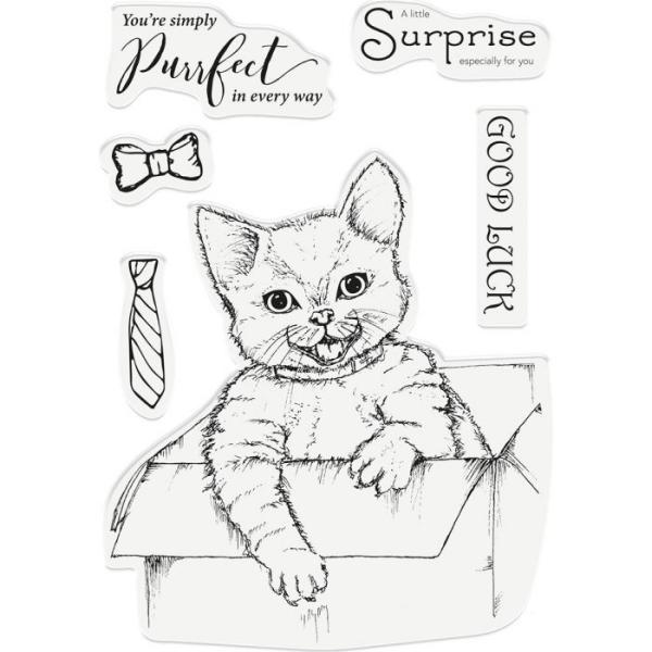 Crafters Companion - A Little Surprise  - Clear Stamps