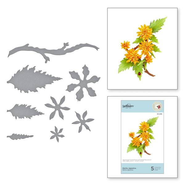 Spellbinders 3D Die "Kerria Japonica Etched "