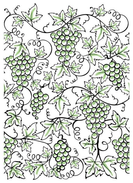 Crafters Companion - Fruit of the Vine - Clear Stamps Layering - 3D Effekt-Stempel