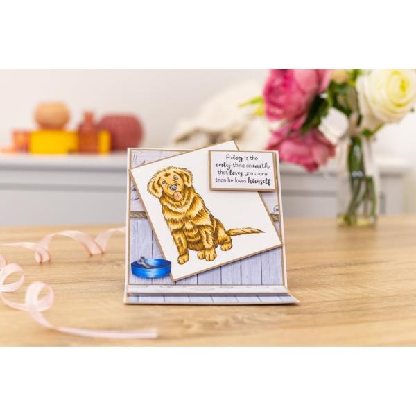 Crafters Companion - Furrever Friends  - Clear Stamps